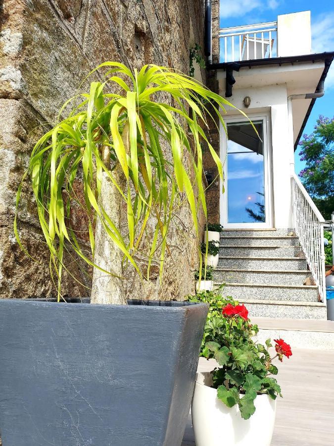 Villa Tana, Casa Compartida Понтеведра Экстерьер фото